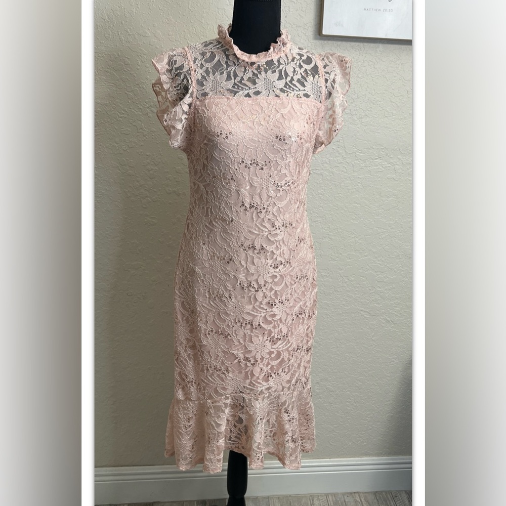Alexa B Nites Dress  Lined Shell Pink Sequins Size 4